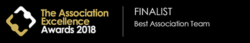 Association Excellence Awards 