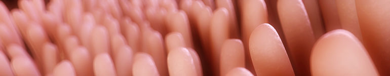 Coeliac disease FAQs