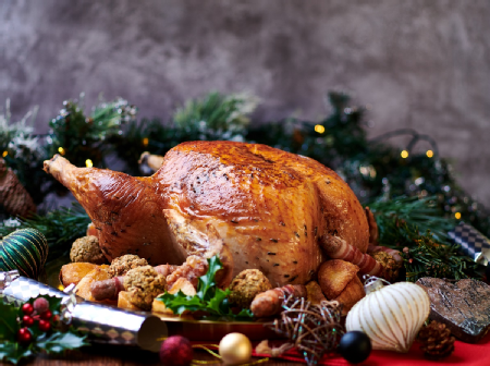 Christmas Turkey 1200 x 897