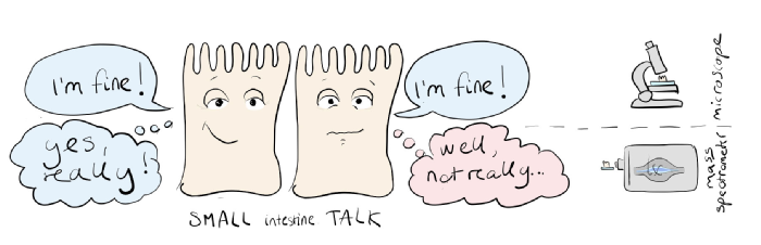 Small Intestine Talk