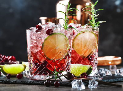 Gin and Cranberry Fizz