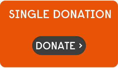 single donation