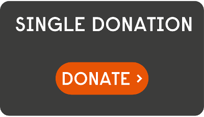 single donation