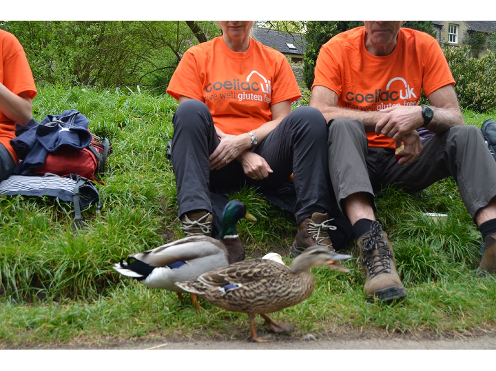 Dovedale 2017 AWW