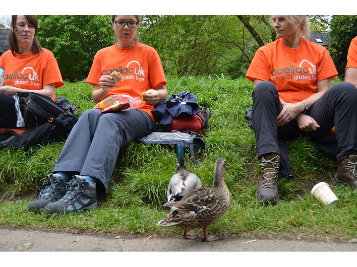 Dovedale 2017 AWW