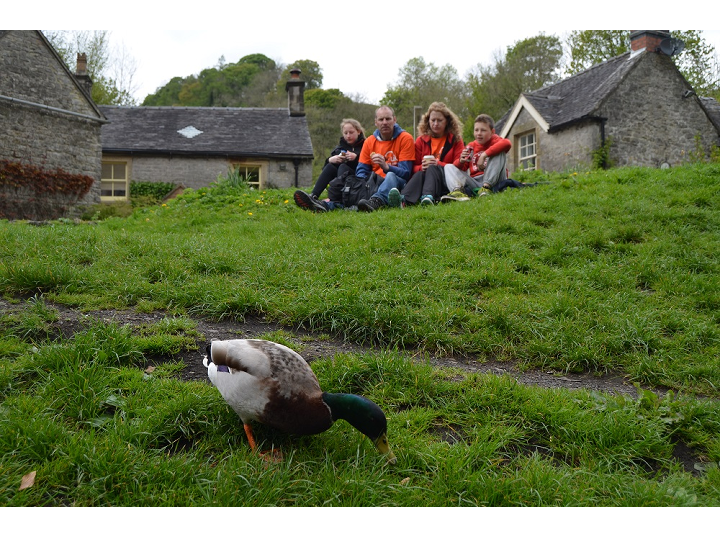 Dovedale 2017 AWW